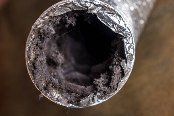 Best Home Air Vent Cleaning  in Buckhorn, CA